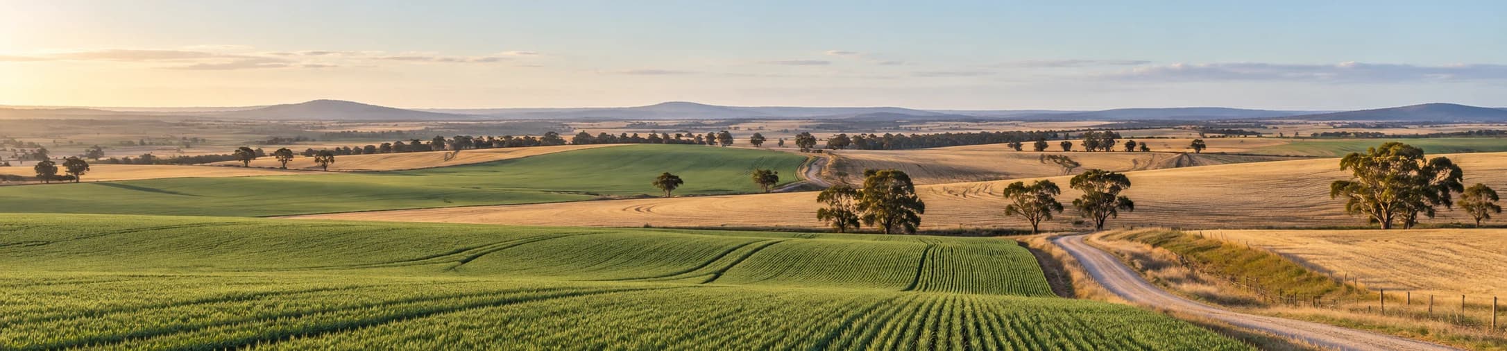 Australian farmland with crop fields, hills, and a farm road in evening light.